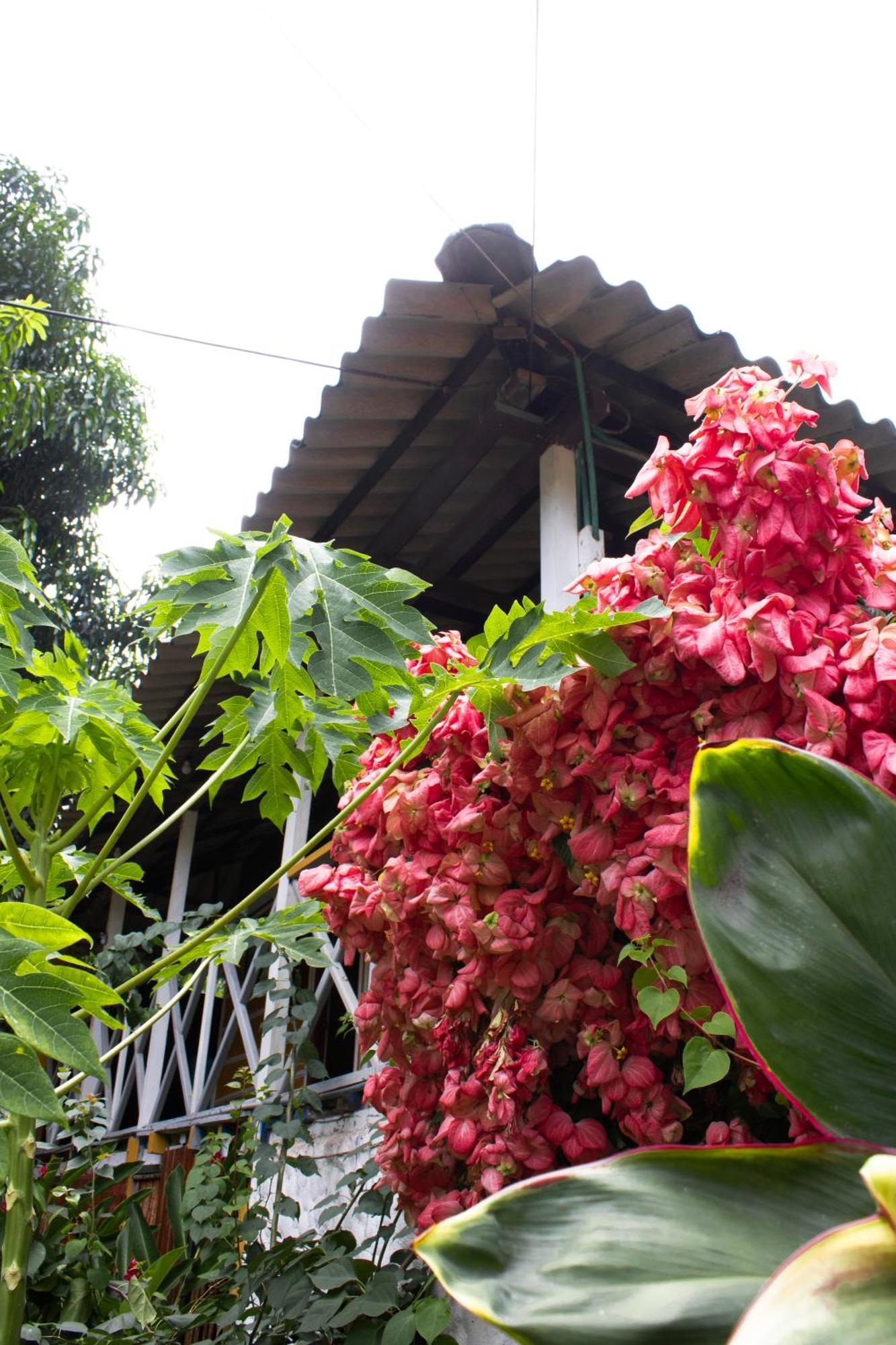 Wayanay Tayrona Eco Hostel El Zaino Exterior foto